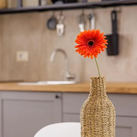 דירה Terrazze Tra I Musei - And *