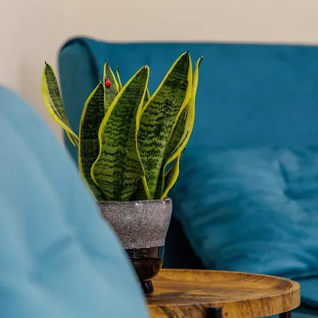 Terrazze Tra I Musei - And * נאפולי